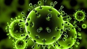 أطباء فرنسيون: علاج فيروس (كورونا) متوفر منذ 30 عاماً