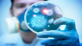منظمة الصحة العالمية: يمكن تصنيف فيروس كورونا على أنه وباء عالمي