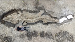 أحد أعظم اكتشافات علم الحفريات في بريطانيا: العثور على متحجرة لحيوان "تنين البحر"