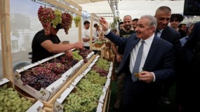 رئيس الوزراء يفتتح مهرجان العنب التاسع في حلحول