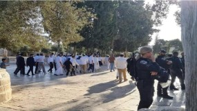 عشرات المستوطنين يقتحمون المسجد الأقصى بحماية مشددة من قوات الاحتلال