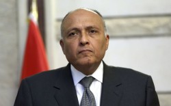 وزير الخارجية المصري شكري: الحديث عن حل الدولتين لا يكفي