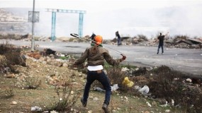 عشرات الإصابات جراء قمع الاحتلال مسيرات سلمية بالضفة الغربية